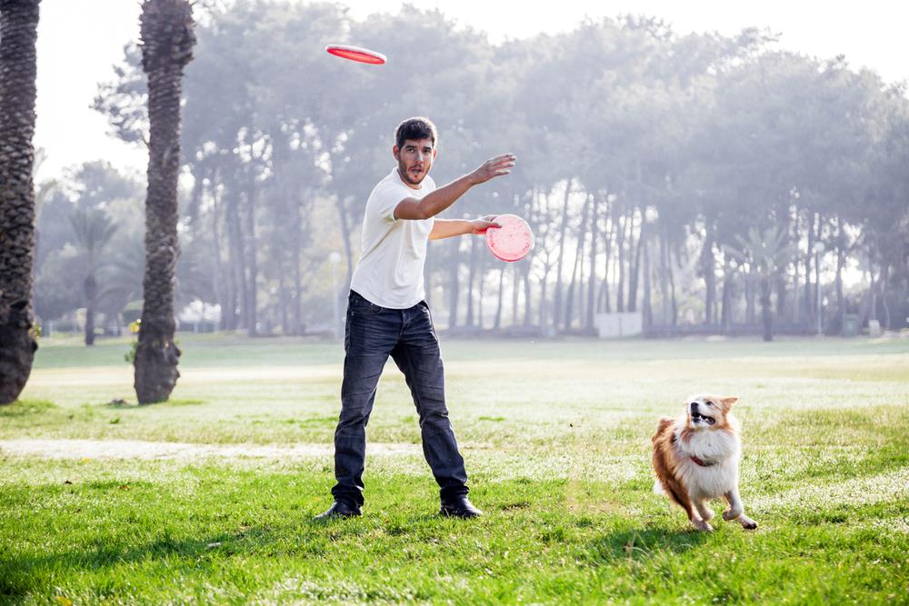 dog frisbee competition