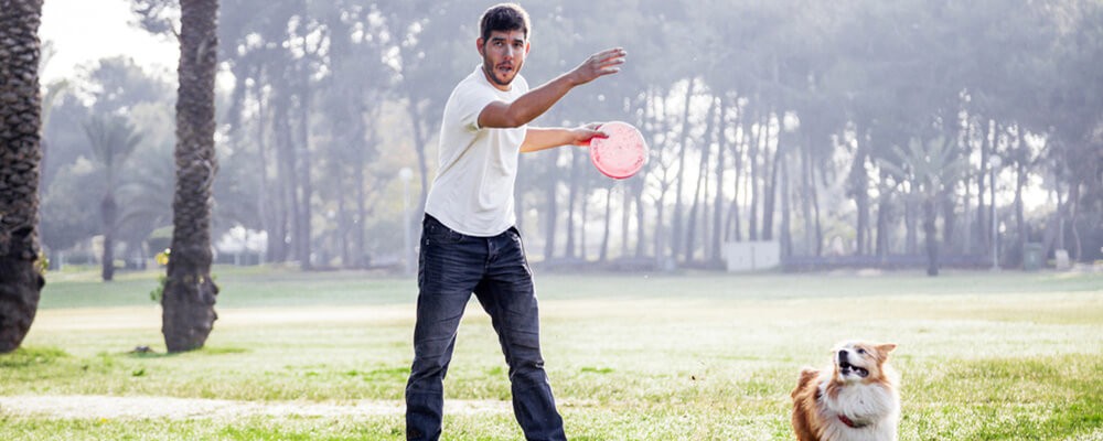 How to teach a dog to catch a frisbee