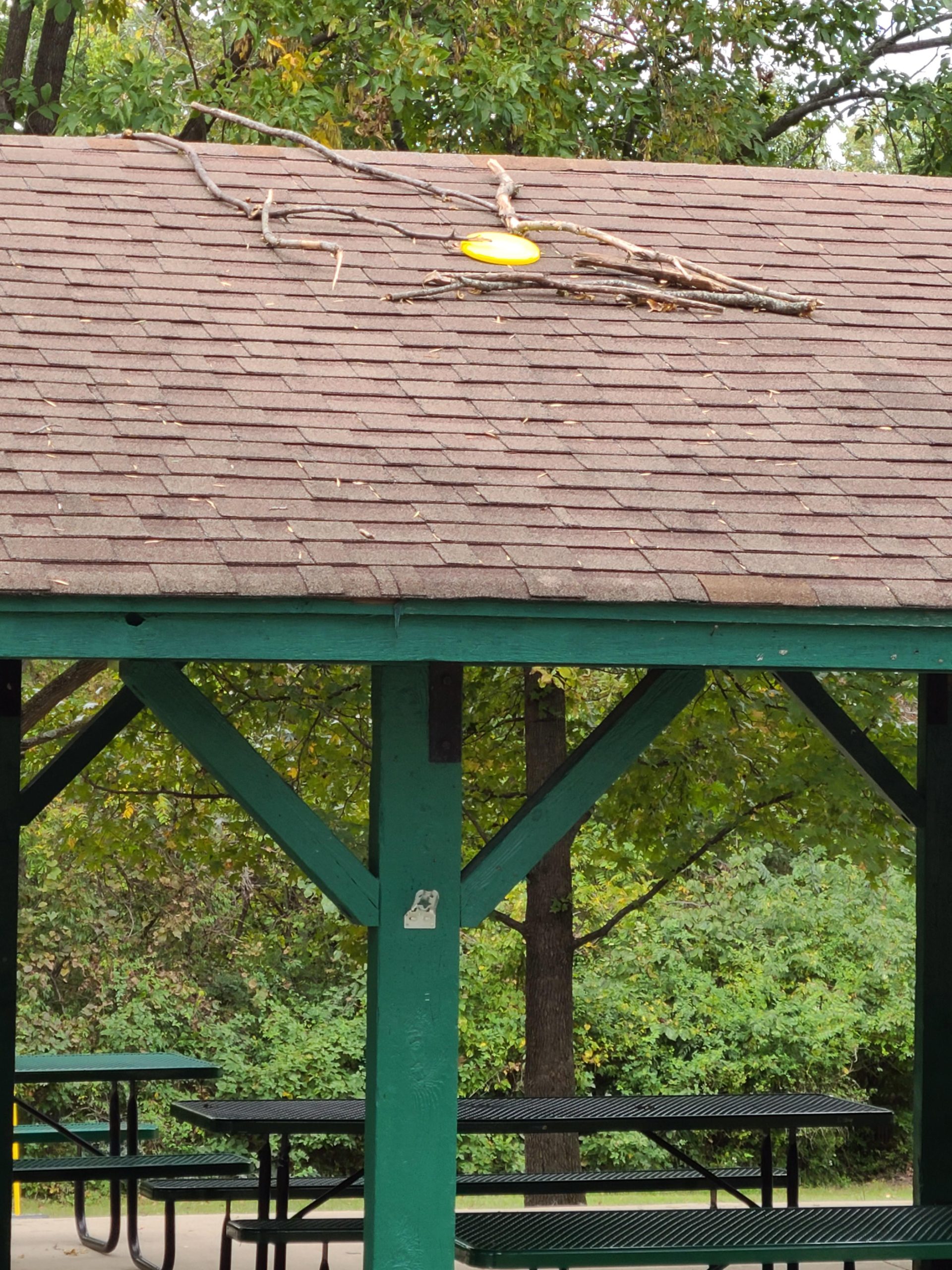 How to Get a Frisbee off the Roof